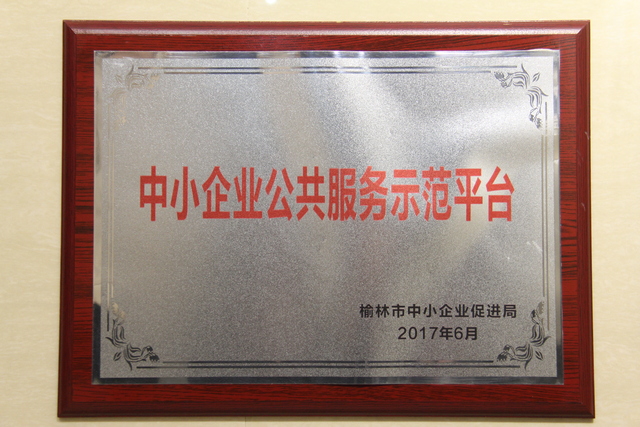 中小企业公共服务示范平台.JPG