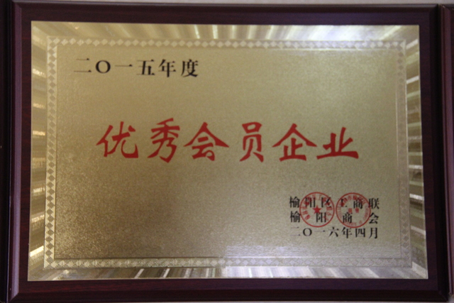 2015年度优秀会员企业.JPG