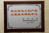 陕北特色文创产品工程技术研究中心.JPG