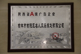 陕西省A级广告企业.JPG