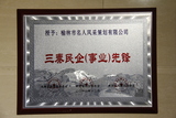 三秦民企（事业）先锋.JPG