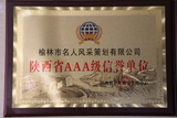 陕西省AAA级信誉单位.JPG