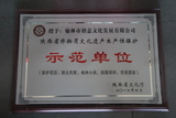 陕西省非物质文化遗产生产性保护示范单位.JPG