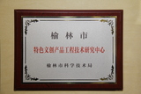 榆林市特色文创产品工程技术研究中心.JPG