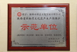 陕西省非物质文化遗产保护示范单位.JPG